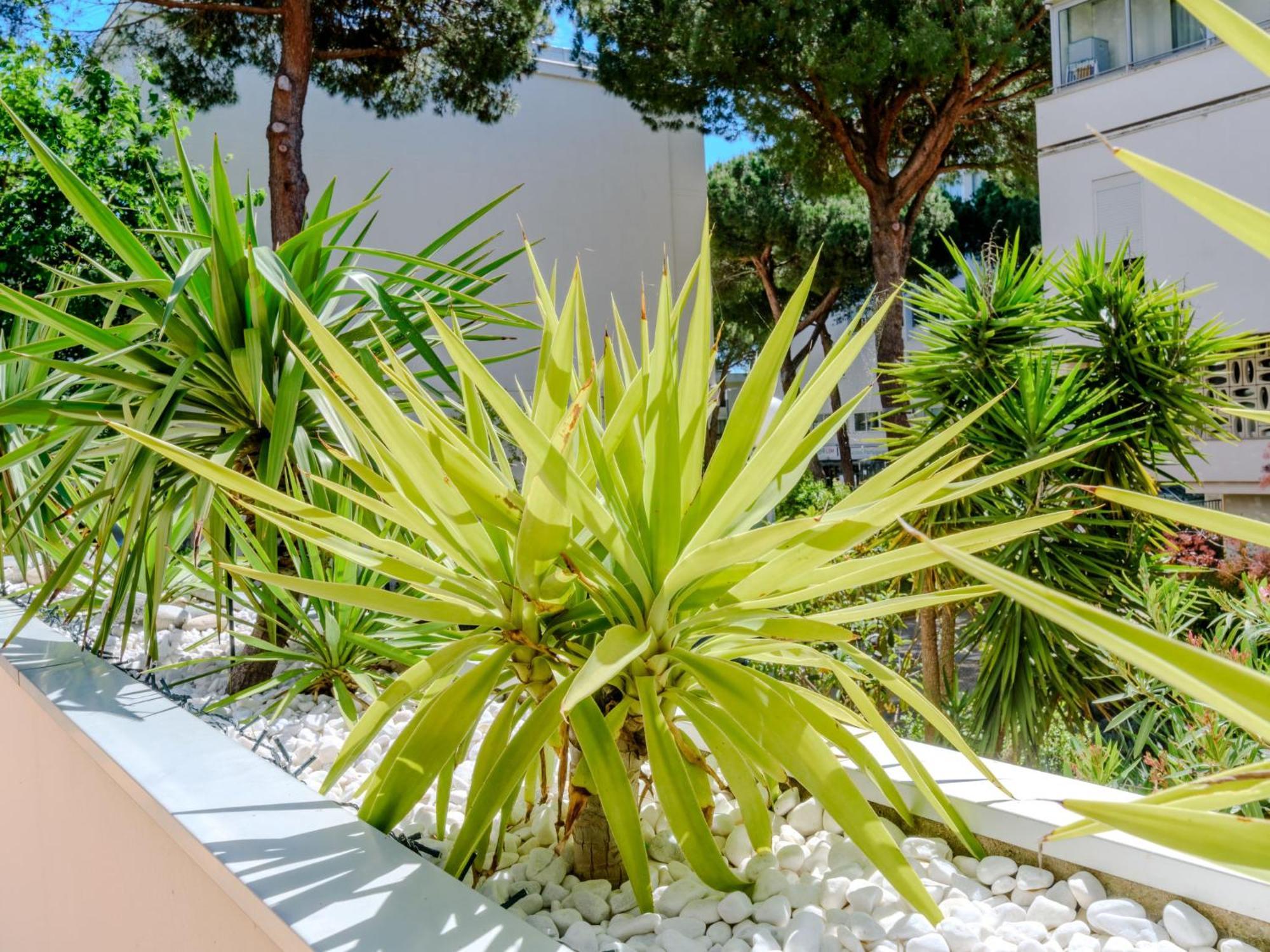 Apartment Antinea-4 By Interhome La Grande Motte Exterior photo